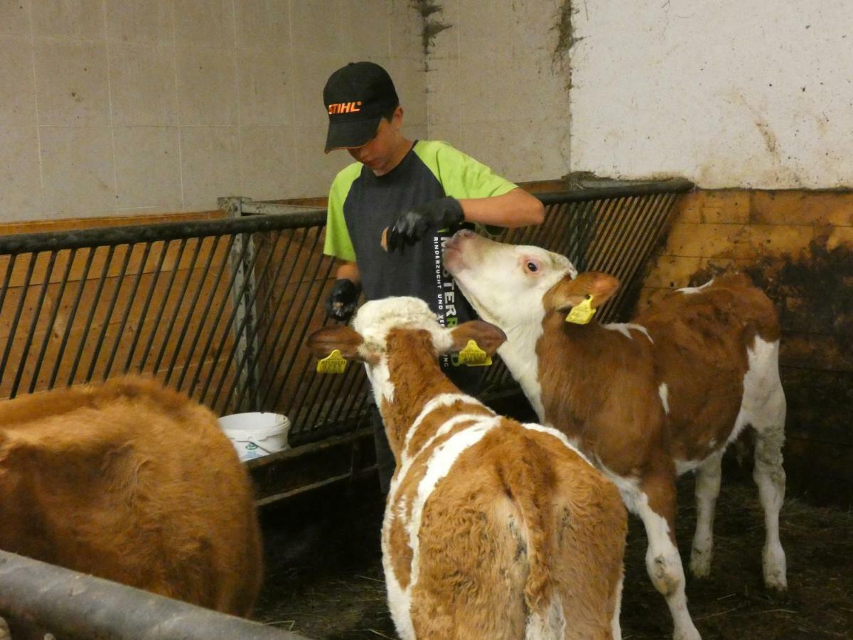 Agriturismo Maso Larciunei Sëlva di Val Gardena Eksteriør billede